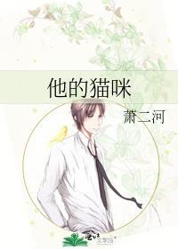 他的猫咪叫什么答案