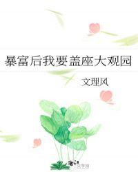 暴富后我要盖座大观园 文理风