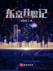 半岛之徐理事升职记书旗