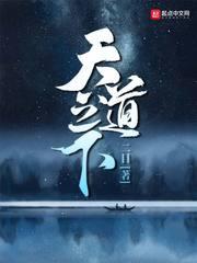 天道之下是什么境界