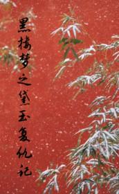 黛玉续文