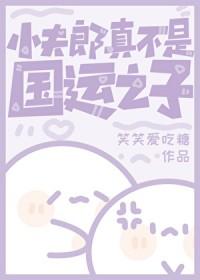 小夫郎小夫郎