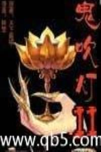 鬼吹灯十二部顺序