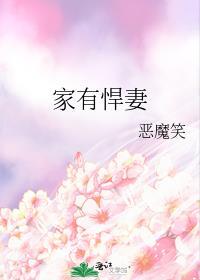 家有悍妻怎么破讲的什么