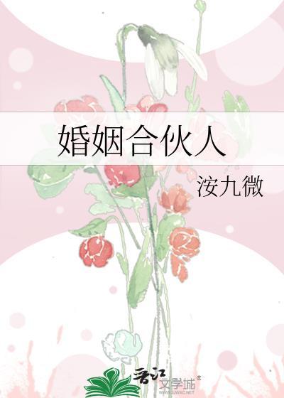 婚姻合伙人粤语在线观看港剧网