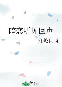 暗恋听见回声番外