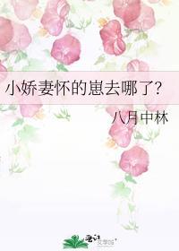 小娇妻怀的崽去哪了?TXT