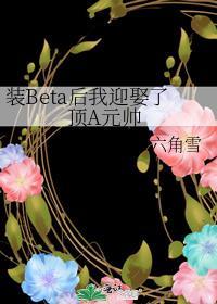 装beta后我迎娶了顶a元帅全文