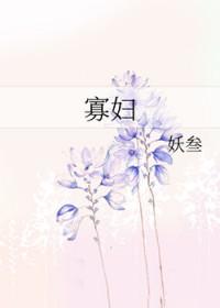 寡妇村传奇