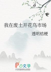 我在废土修古董