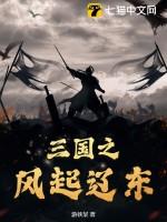 三国之风起南