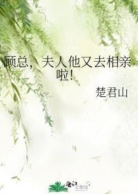 顾总夫人他又去相亲啦楚君山