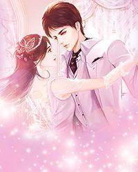 上门女婿的幸福生活完结版