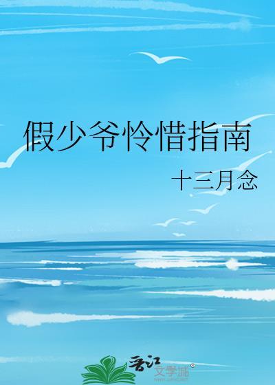 假少爷怜惜指南TXT全文免费阅读