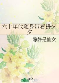 六十年代随身带着拼夕夕书包网