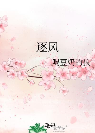 逐风加速器