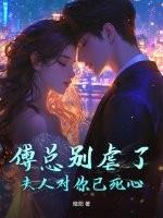 夫人又闹离婚了