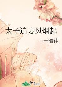 太子追妻记