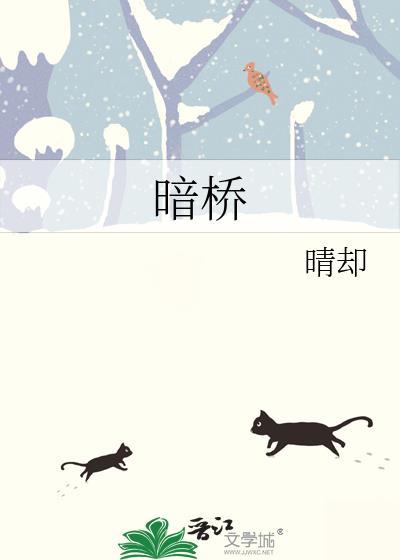 暗桥什么意思
