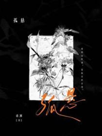 孤悬敌后