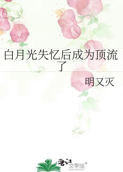 白月光失忆后成为顶流了讲的什么