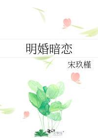 明婚暗恋免费阅读