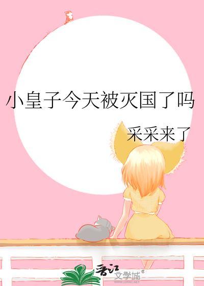 小皇子今天被灭国了吗百度