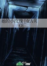 他的小玫瑰无防盗