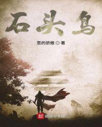 石头鸟logo图片大全