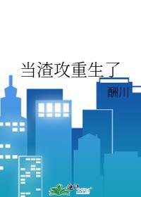 当渣攻重生了 作者·酬川