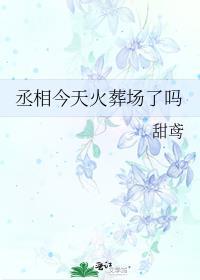 丞相今天火葬场了吗讲的是什么