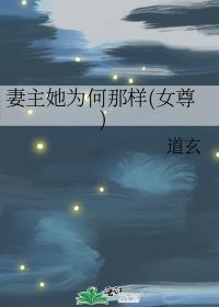 妻主她为何那样女尊TXT