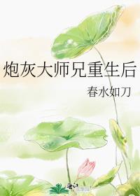 炮灰大师兄又崩了人设 作者一枕春秋