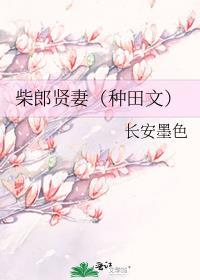 柴郎贤妻