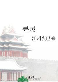 寻灵记魂珠篇完结破解版金手指