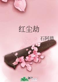 掌中美人DS
