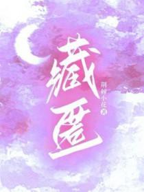 藏匿by词枝