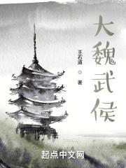 大魏风华加料改编版5.0版txt