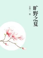 旷野之夏讲的什么内容