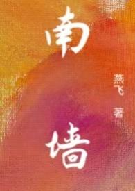 南墙百度