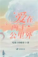 爱在两千公里外剧情介绍