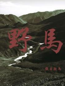野马车价格多少钱一辆