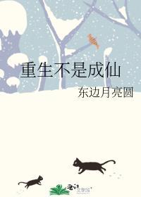 重生不是成仙TXT
