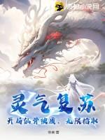 灵气复苏开局成仙
