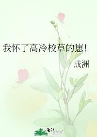 我怀了高冷校草的崽!免费阅读