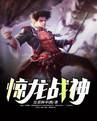 惊龙战神叶天帝